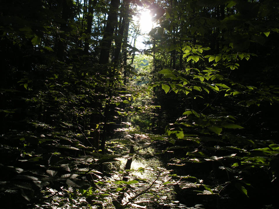 Click to access High Resolution image