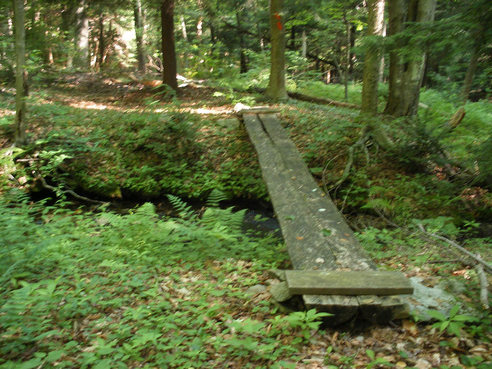 Click to access High Resolution image