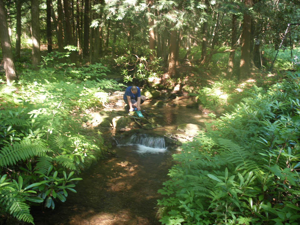 Click to access High Resolution image