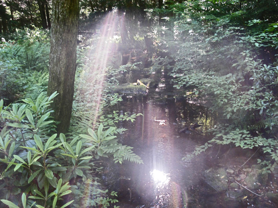 Click to access High Resolution image