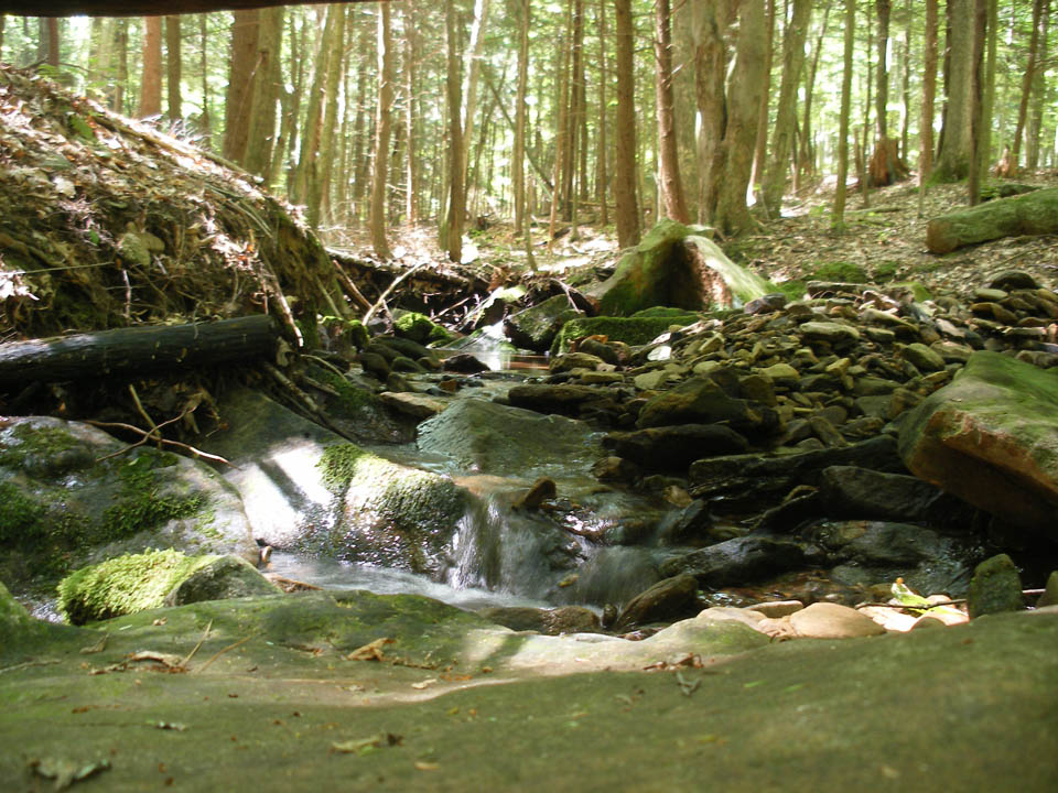 Click to access High Resolution image