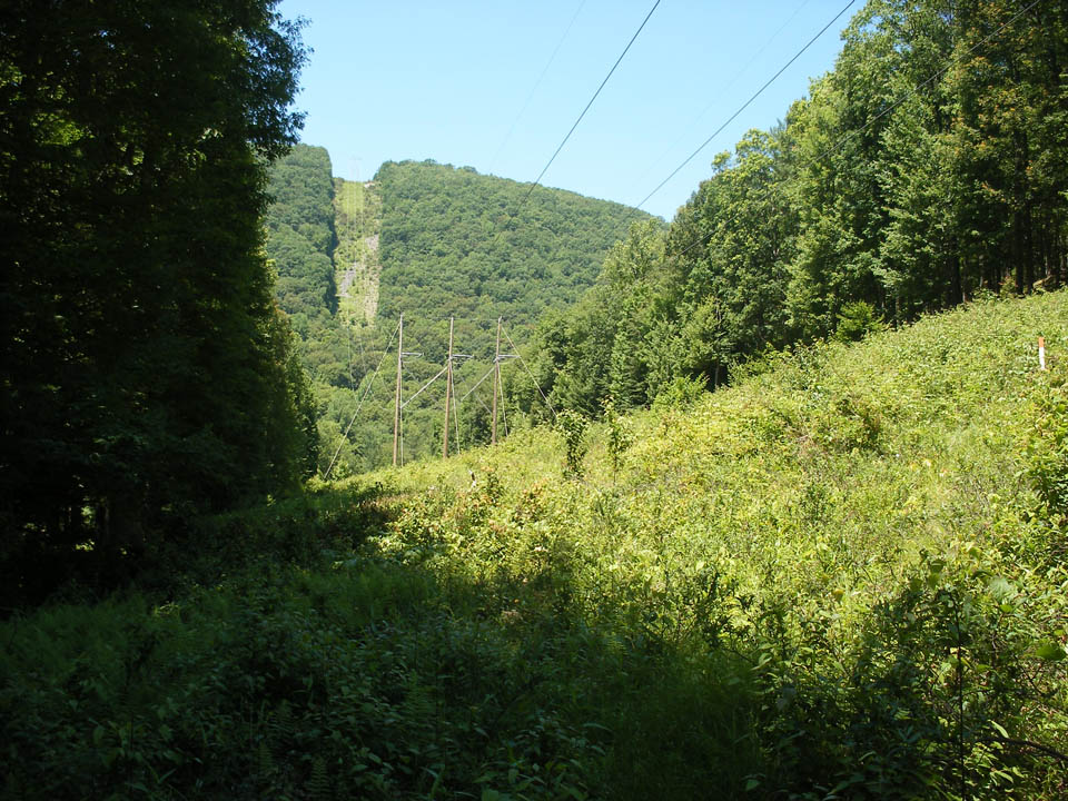 Click to access High Resolution image