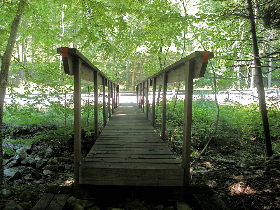 Click to access High Resolution image