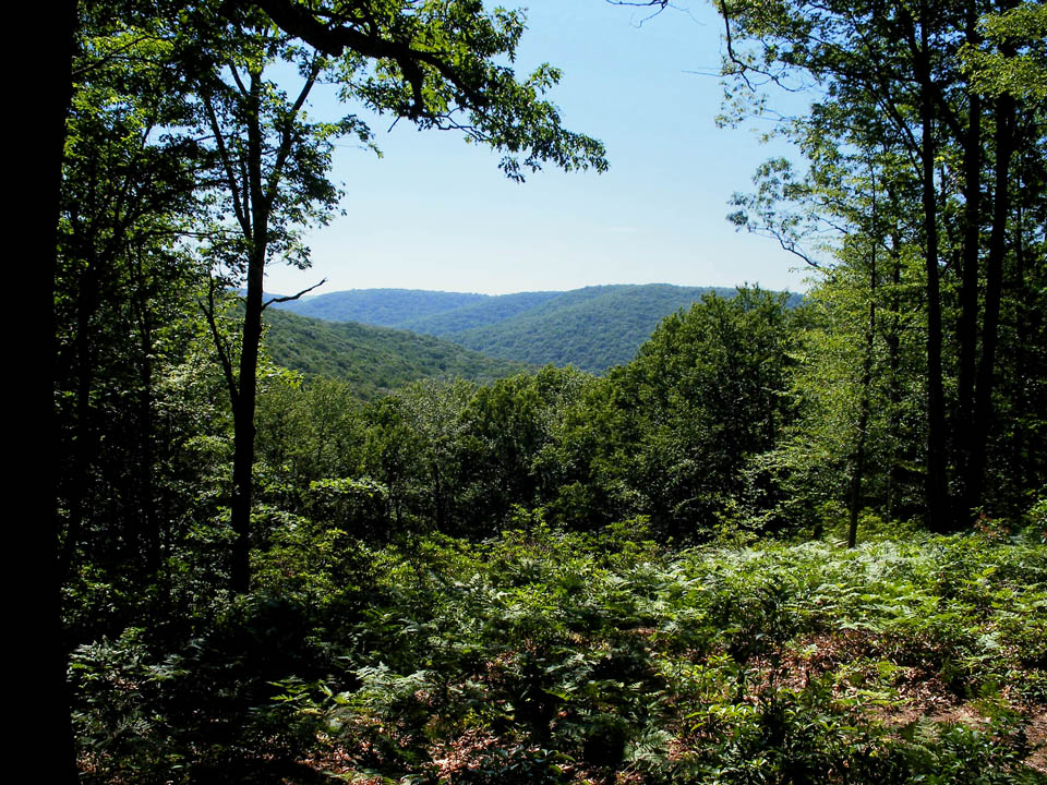 Click to access High Resolution image