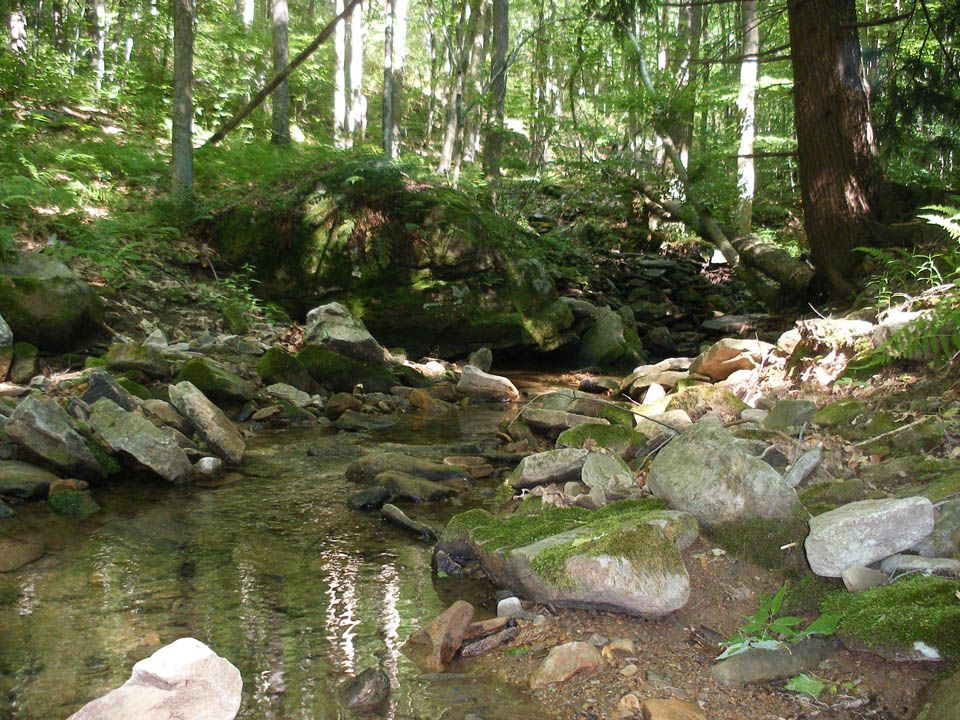 Click to access High Resolution image