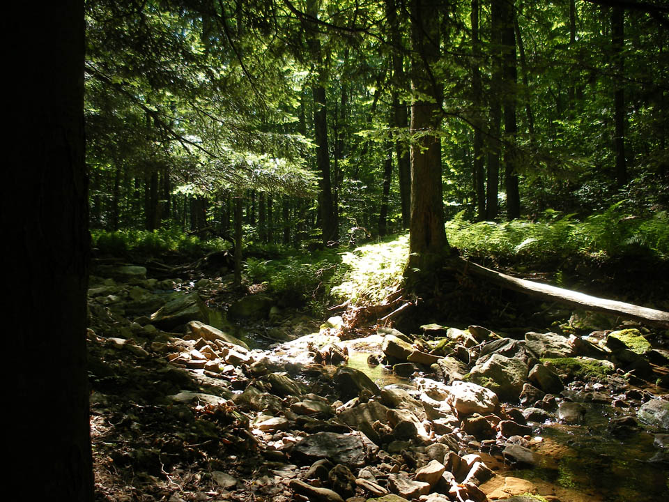 Click to access High Resolution image