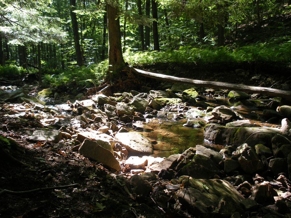 Click to access High Resolution image