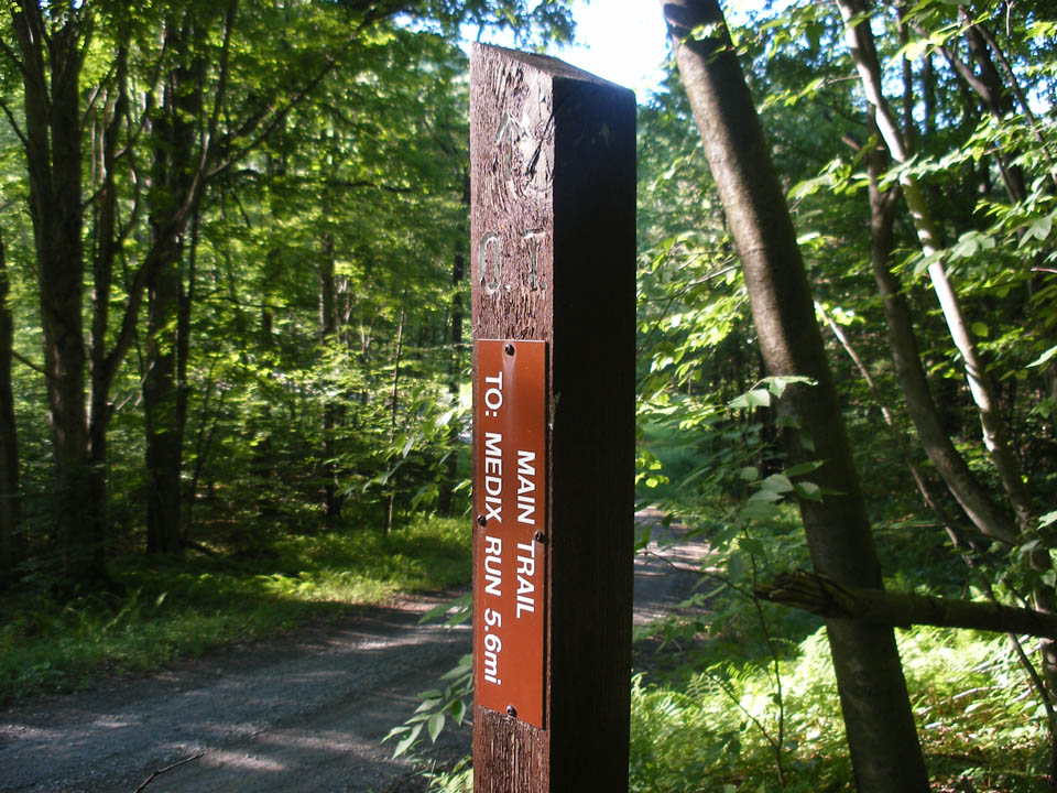 Click to access High Resolution image