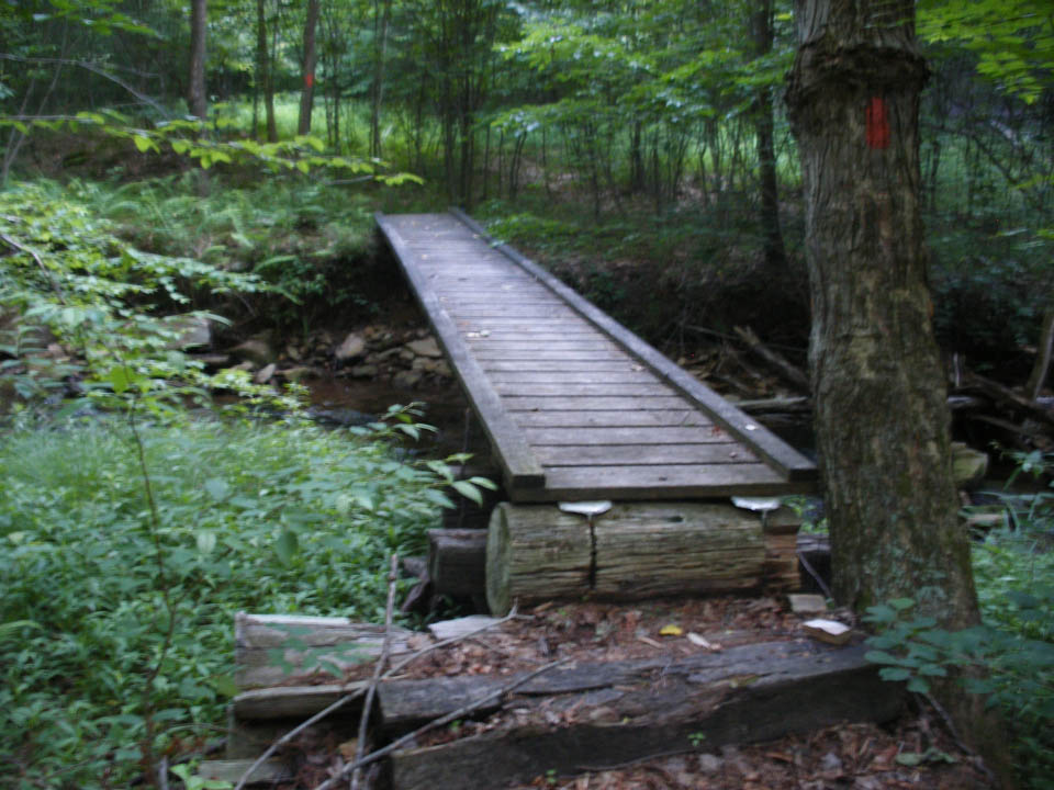 Click to access High Resolution image