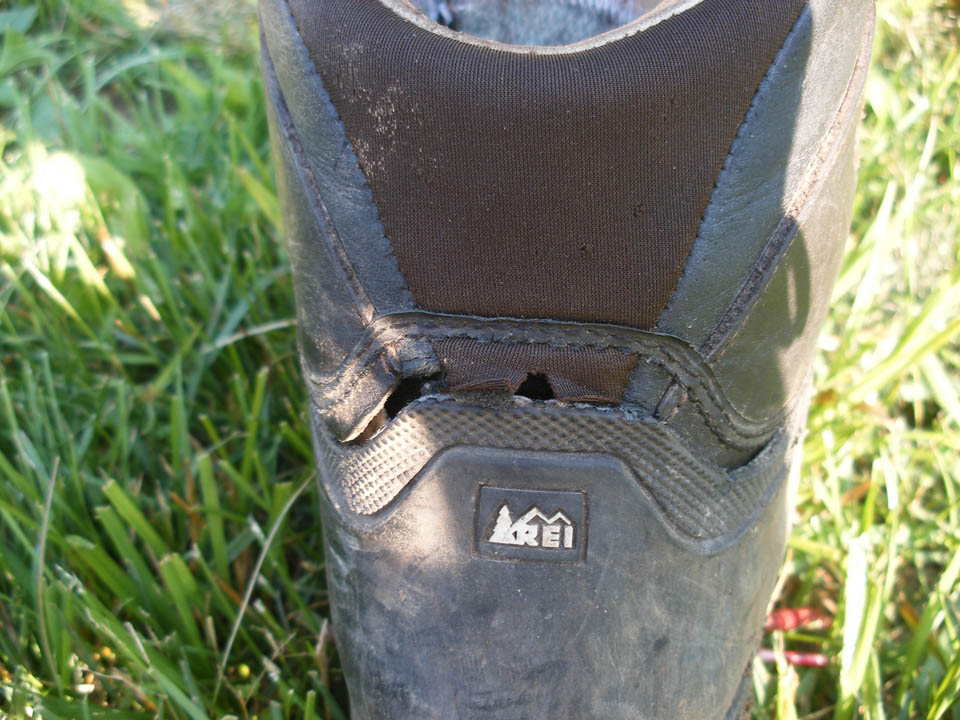 Click to access High Resolution image