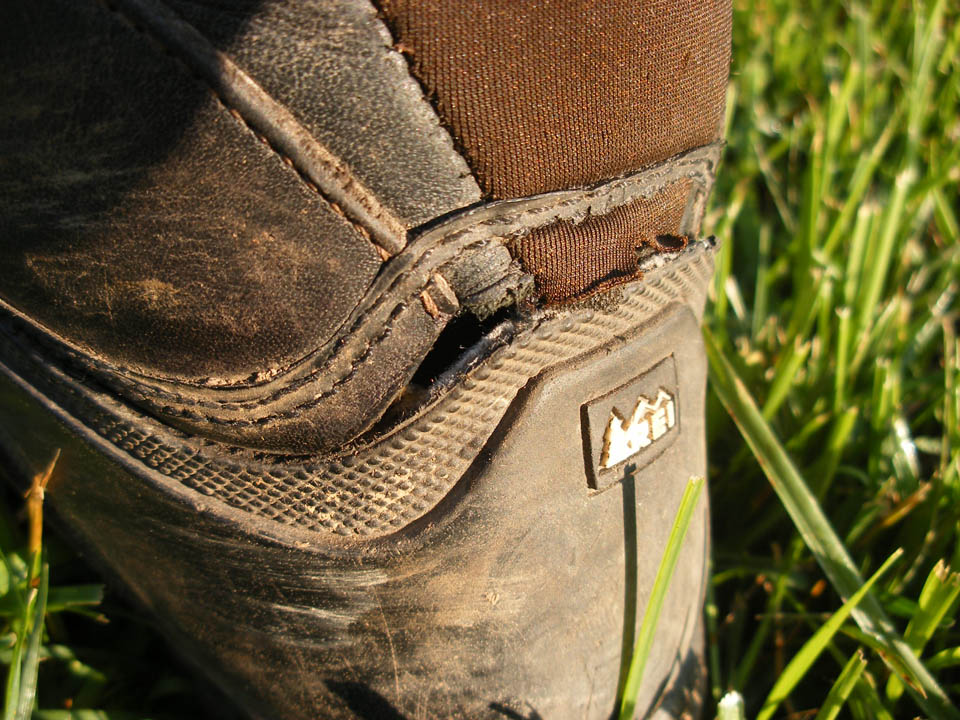 Click to access High Resolution image