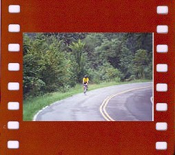 Click Here to enlarge picture.