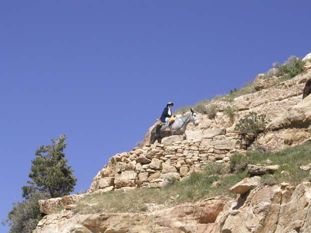P5120026