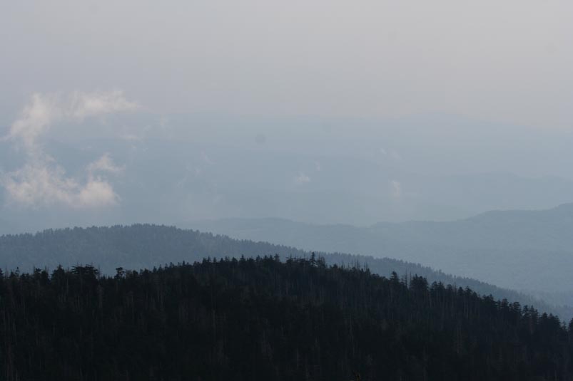 IMG_2882