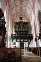 IMG_1370
