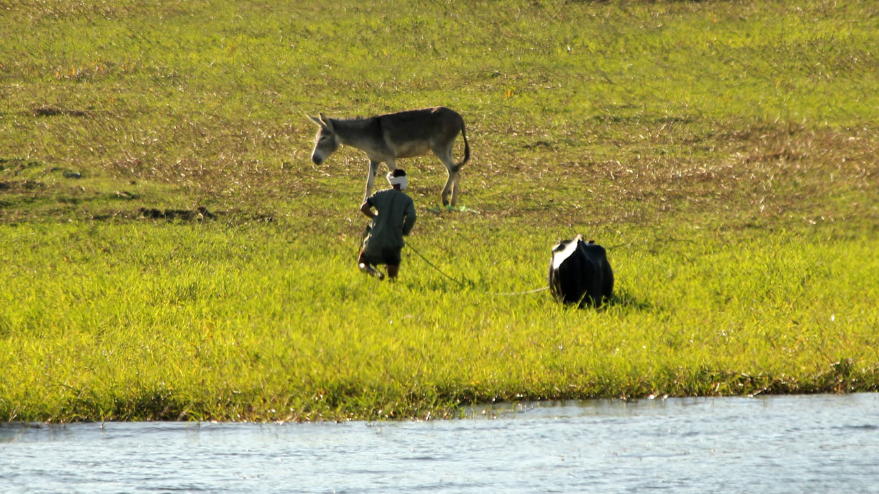 IMG_0055ac