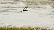 IMG_0278acHD