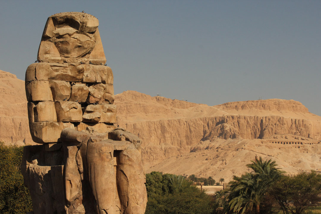 120_00000_004_IMG_9528