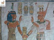 IMG_0381_138_8813_full