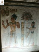 IMG_0381_138_8822_full