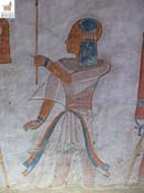 IMG_0381_138_8858_full