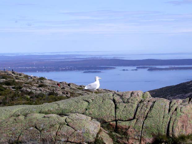 PA010082