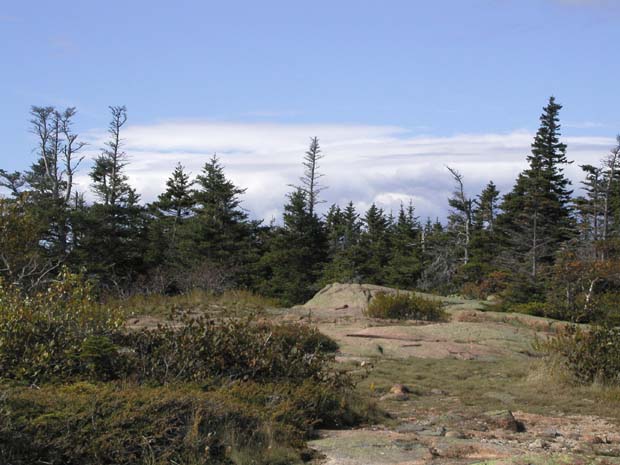 PA010084
