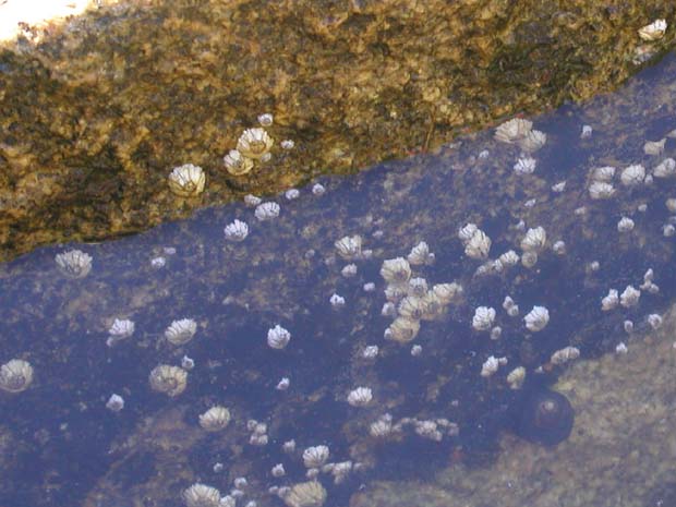 PA030023