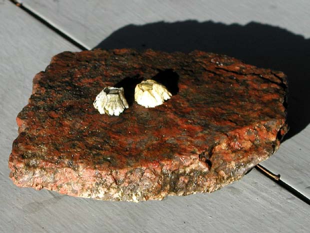 PA030036