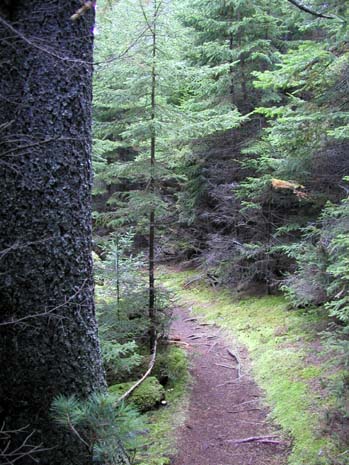 PA040008