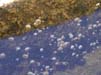 PA030023