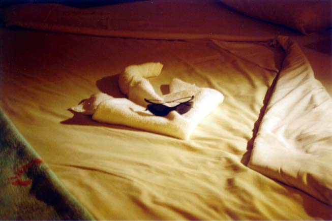 20020901-31-CoolStingray