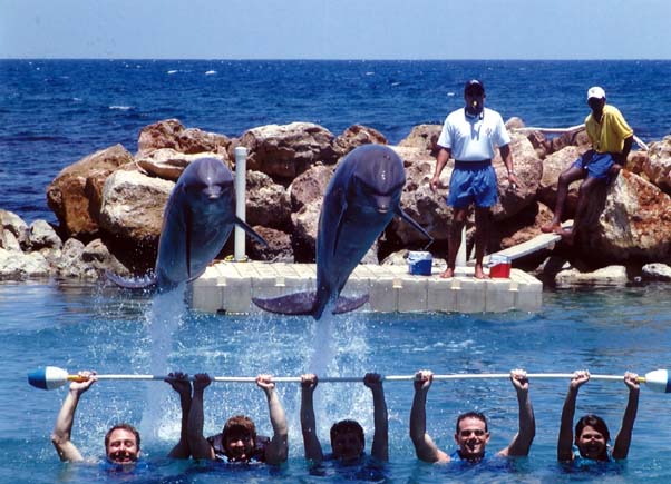 20020904-21-DolphinJump