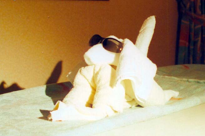 20020904-31-CoolDog