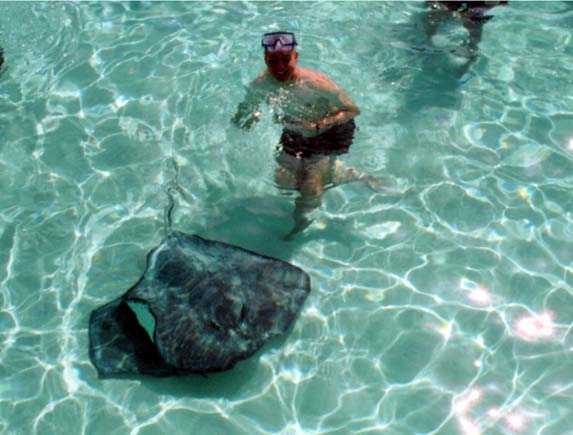 20020905-02-StingrayCity