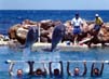 20020904-21-DolphinJump