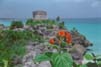 20020906-02-TulumFlower