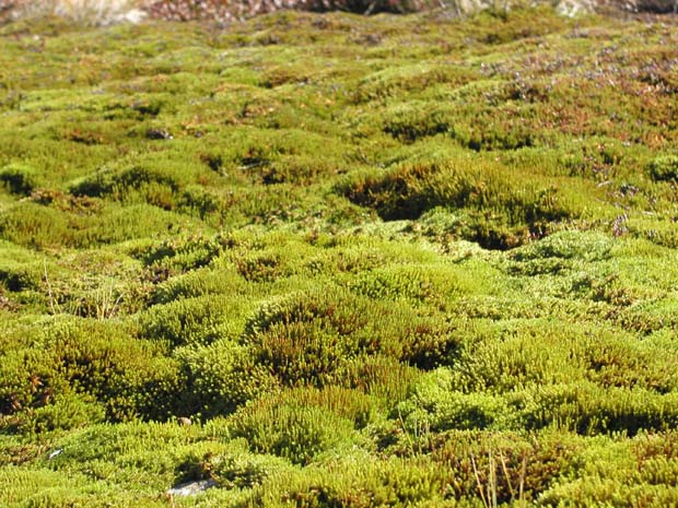 P9260036