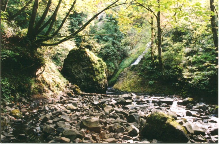 04-Bridal Veil Creek