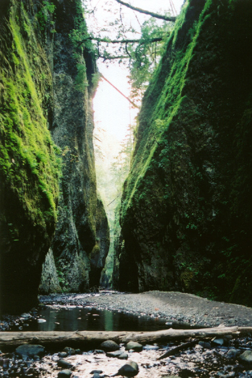 10-Oneonta Gorge