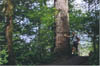 03-Bridal Veil Trail