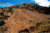 04-Fossils on Leaf Hill