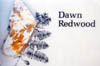 05-Dawn Redwood Fossil