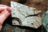 07-Fossil Leaf