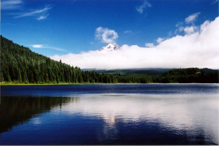 03-Mt Hood From Trillium Lake