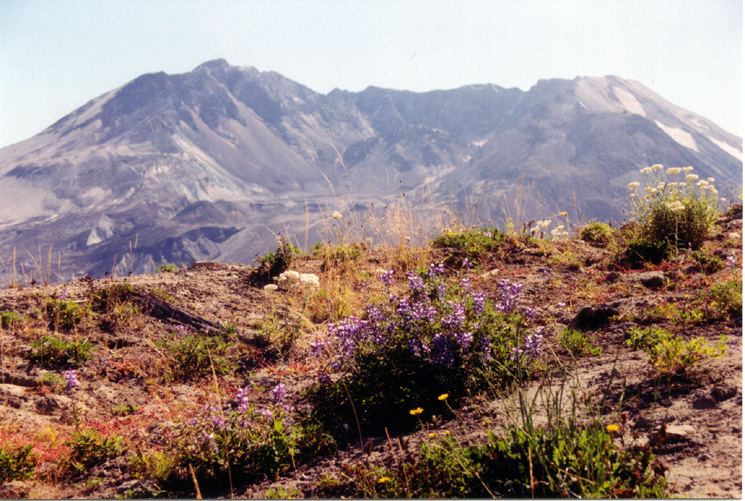07-Johnston Ridge