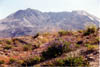 07-Johnston Ridge