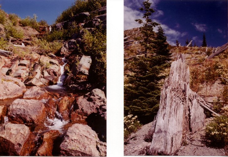 03-Harmony Falls and Slintered Tree