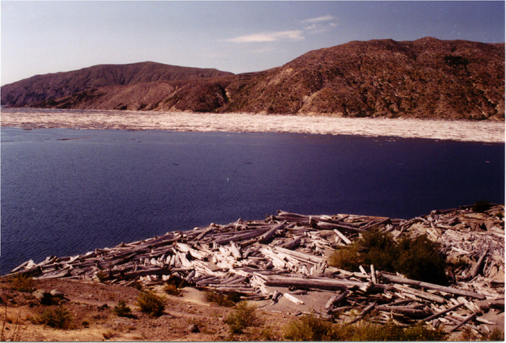 05-Spirit Lake Logs