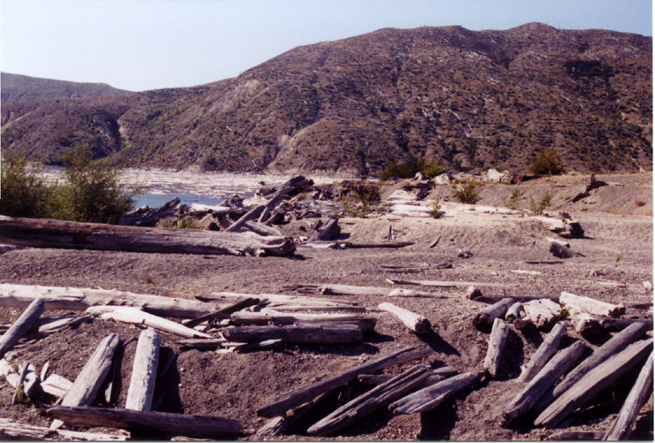 10-Spirit Lake-Silt Levels